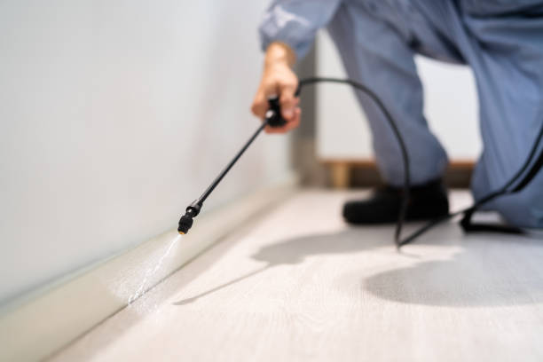 Licensed Cockroach Control service in Belle Haven, VA - Nex Pest Control
