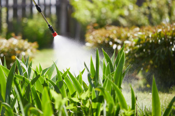 24/7 Emergency Cockroach Control experts in Belle Haven, VA