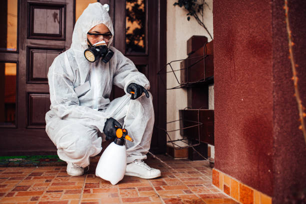 Reliable Cockroach Control contractor in Belle Haven, VA by Nex Pest Control