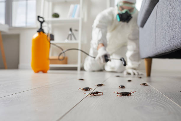 Affordable Cockroach Control solutions in Belle Haven, VA