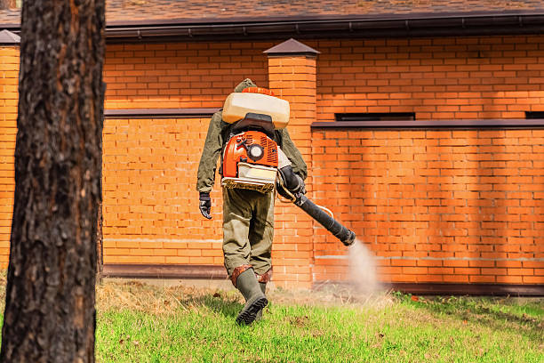 Top rated local Cockroach Control specialists in Belle Haven, VA